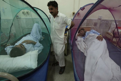 Bangladeş dang hummasının pençesinde