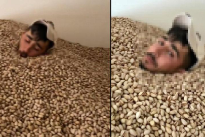 Fıstık deposunda mide bulandıran görüntü