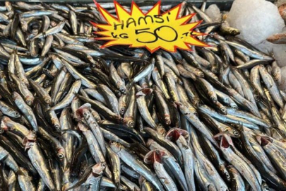 150 liraya kadar çıkan hamsi, 50 liraya düştü