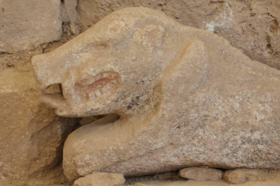 Göbeklitepe'de bulunan yaban domuzu heykeli görüntülendi