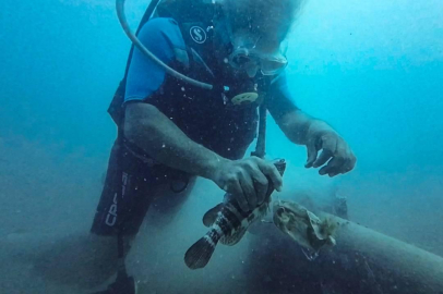 Misinaya takılan lagos kurtarıldı