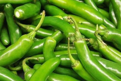 Bir tanesinde milyonlarca antioksidan var