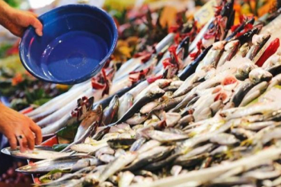 Bu balık diğerlerinden farklı, yaşlanmayı durduruyor!