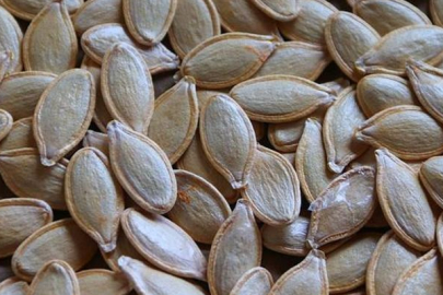 Vücuda çinko depoluyor, en önemli organı baştan aşağı yeniliyor