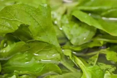 ABD'li bilim insanları açıkladı! Dünyanın en sağlıklı sebzesiymiş