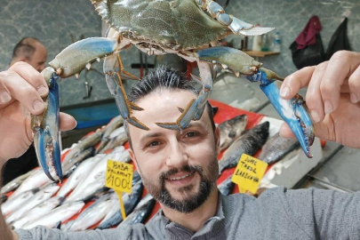 Balıkçıların korkulu rüyası ‘mavi' yengeç!