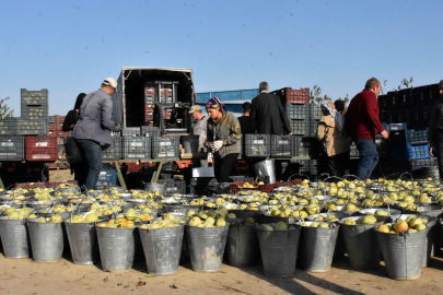 Bursa'da Karacabey tarımsal üretim zenginliği ile öne çıkıyor