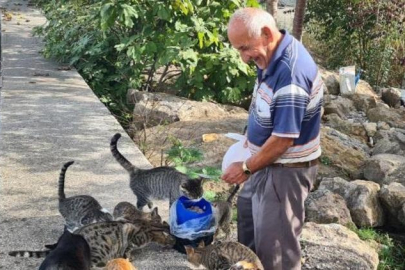 Emekli Hasan amca tüm maaşını kediler için harcıyor