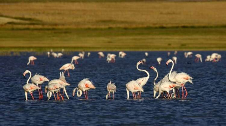 "KAR YAĞMADAN TERK EDERLER"