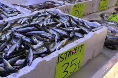 Küresel ısınma balık çeşidi ve boyutunu etkiledi