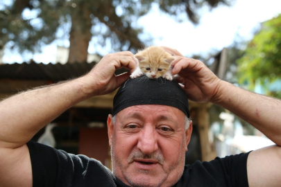 Kedi sevgisi müteahhitlerin tekliflerine "dur" dedirtti