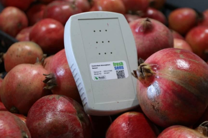 Yapay zeka ile meyve, sebze ve çiçeklerin raf ömrü uzuyor