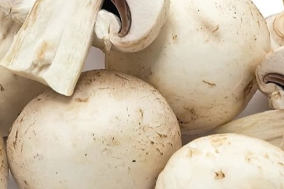 Mantarın faydaları nelerdir?