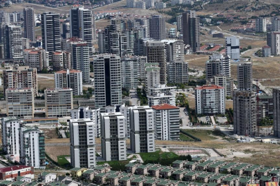 Bitki körlüğü biyoçeşitlilik farkındalığını engelliyor