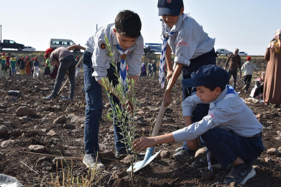 THY'den Şanlıurfa'ya 90 bin meyve fidanı
