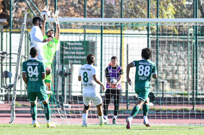 Timsah iki haftada çöktü!