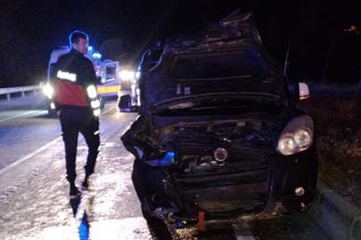 Ayıya çarpan araçtaki 6 kişi yaralandı