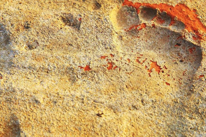 "Gladyatörler kenti"ndeki kazılarda çocuk ayak izlerine rastlandı