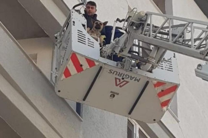 Ağır hasarlı binada mahsur kalan köpek kurtarıldı