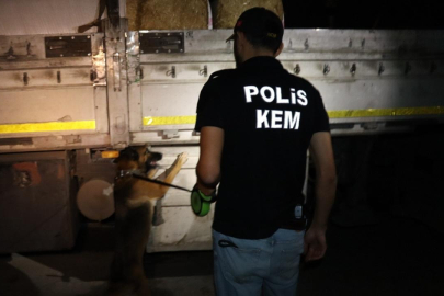 Çuvallarının arasında uyuşturucu sevkiyatı "ANKA"ya takıldı