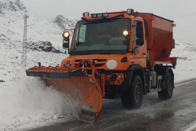 Van'da kasım ayında kar 20 santimetreye ulaştı