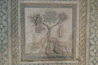 Düzce'de "Dionysos Kült Mekanı"nı yansıtan aslanlı mozaik bulundu