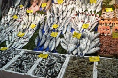 Hamsi bolluğu yaşanıyor, fiyatlar geriledi