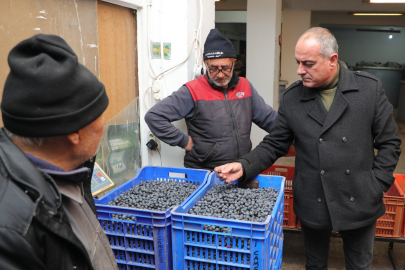 Bursa'da Başkan Sertaslan devreye girdi, fiyatlar arttı