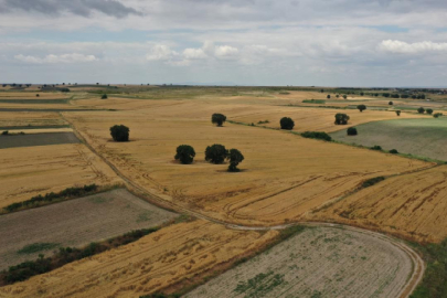 İntikali yapılmamış araziler için mirasçılık belgesi istenecek
