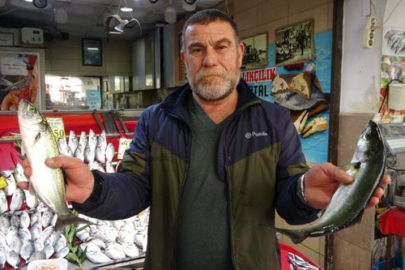 Palamut azaldı, lüfer arttı