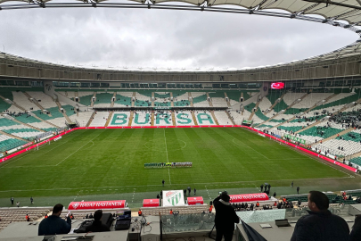 Timsah evinde yapayalnız!