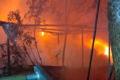 İstanbul'da marangoz atölyesinde yangın