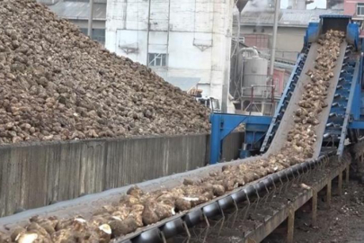 Şeker pancarıyla 2,5 milyar TL'lik katkı