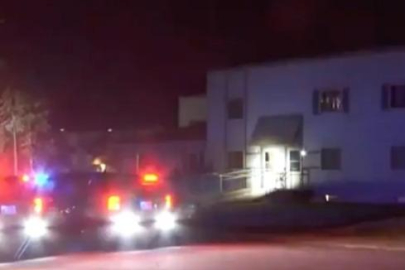 3 yaşındaki çocuk 2 yaşındaki kardeşini öldürdü! Annesinin çantasında bulduğu silahla...