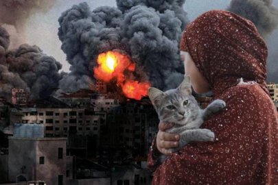 Refah Sınır Kapısı'ndan geçen 87 Türk ve KKTC vatandaşı Türkiye'ye getirilecek