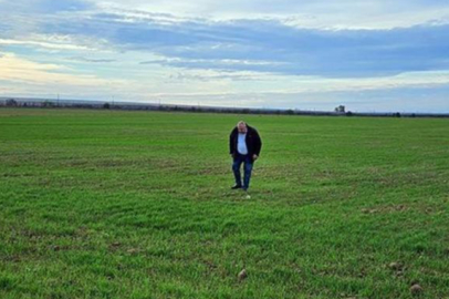 10 günlük yağış Trakya'da tarlaları yeşertti