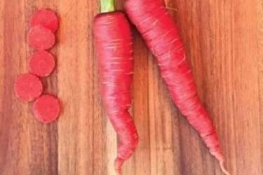 Kırmızı havucun faydaları saymakla bitmiyor