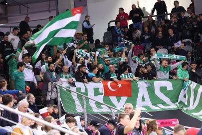 Timsah Almanya’da yalnız yürümedi!