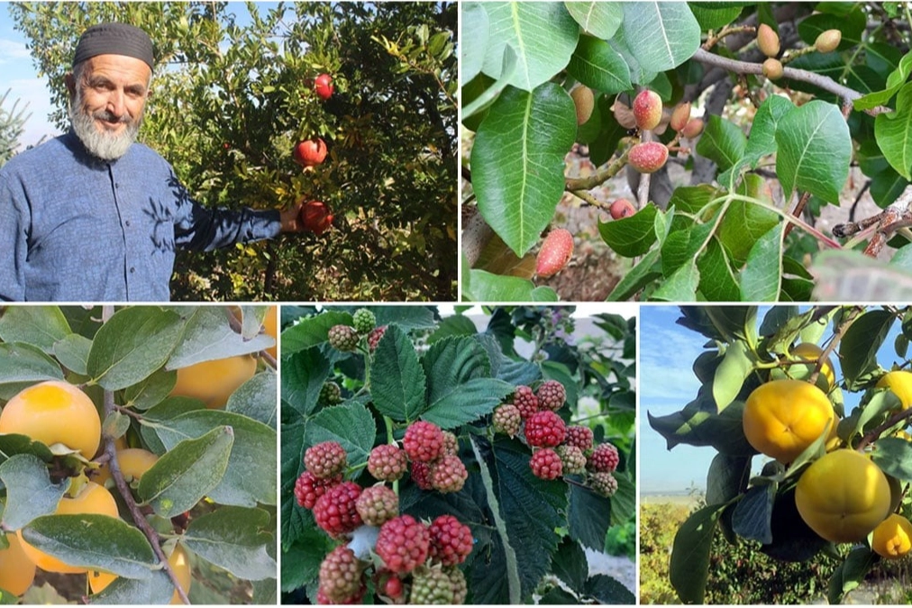 Bahçesinde yok yok! 25 yıllık emeğini ışıltılı gözlerle anlattı
