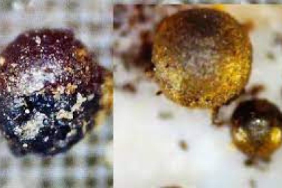 Harvard profesörünün "uzaylı yapımı" dediği metal küreler aslında çöpmüş