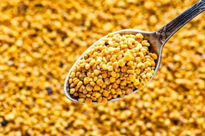 Polen nedir? Faydaları nelerdir?