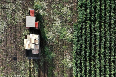 Tarımsal amaçlı örgütler derecelendirilecek