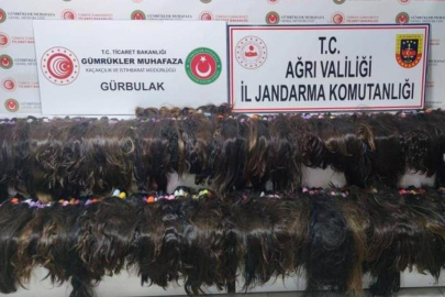 Ağrı'da 663 bin lira değerinde insan saçı ele geçirildi