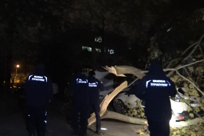 Bursa'da ağaç ve elektrik direği araçların üzerine devrildi, 2 araç hasar aldı