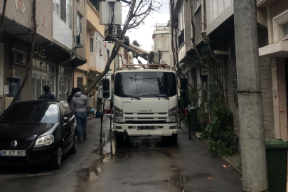 Osmangazi’de lodos mesaisi