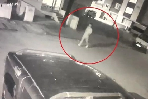 “Cumartesi Çetesi” üyelerine operasyon