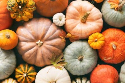 Bal kabağı gözlere iyi geliyor