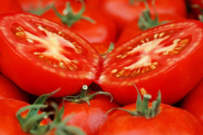 Türkiye'nin AB coğrafi işaretli ürün sayısı 15'e yükseldi