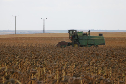 Tarımsal destek ödemeleri bugün hesaplara aktarılıyor