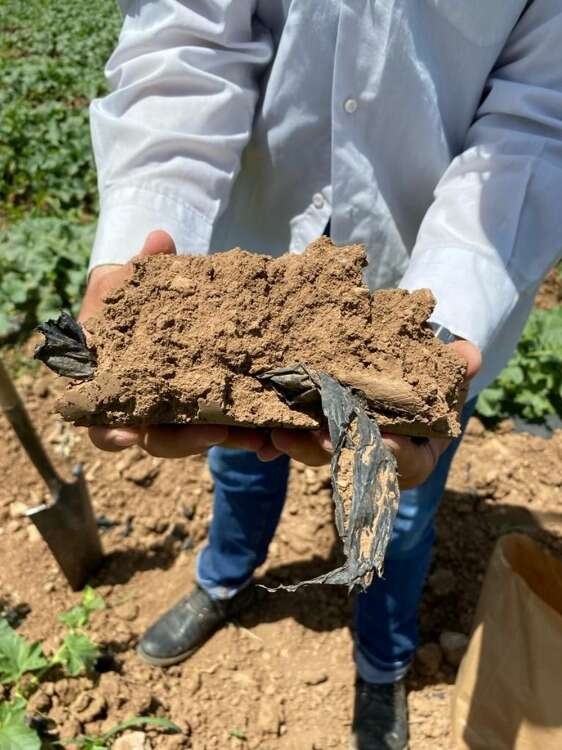 EN FAZLA AKDENİZ’DE